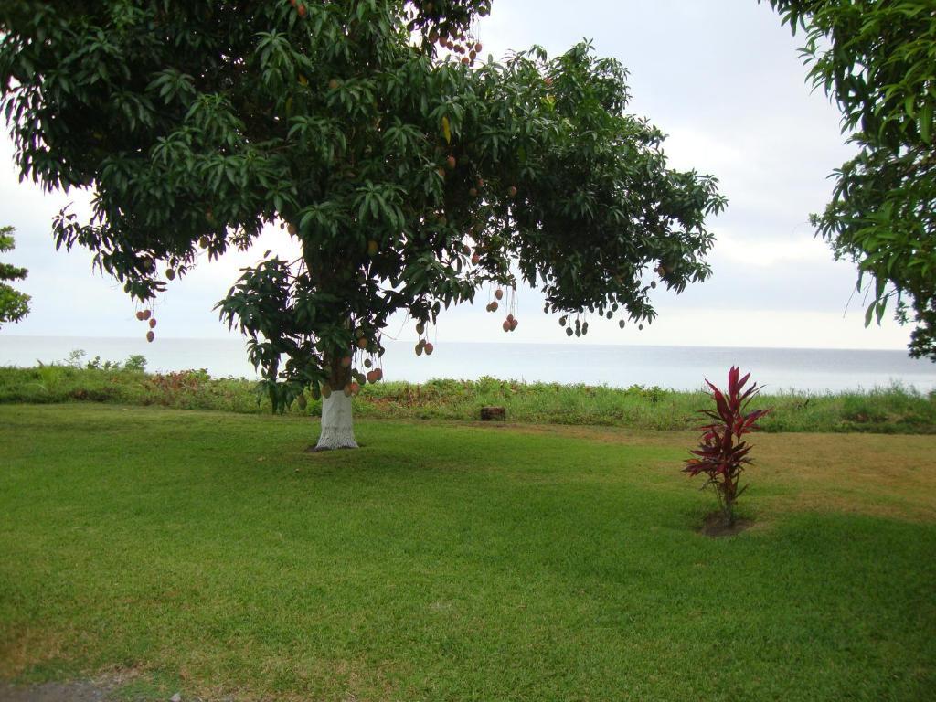 By The Sea Vacation Home And Villa ปอร์ตอันโตนิโอ ห้อง รูปภาพ
